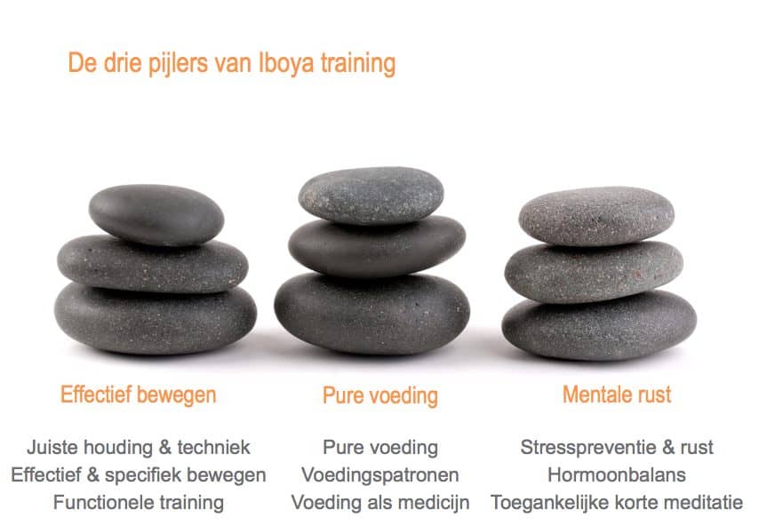 3 pilaren van iboyatraining