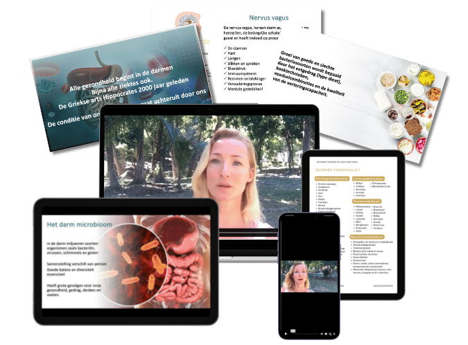 Workshop Darmgezondheid -small